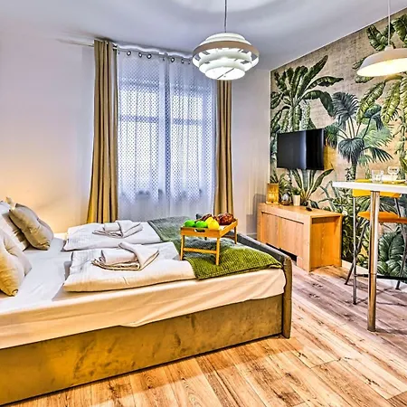 Sucha, Sun & Snow * 카르파츠