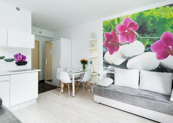 Sucha, Sun & Snow * 카르파츠