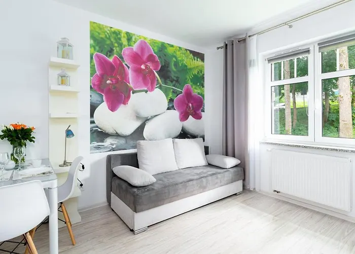 Sucha, Sun & Snow * 카르파츠